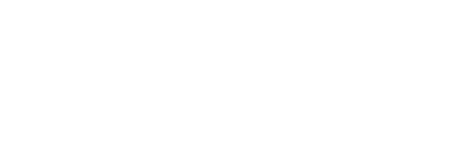 Connections Summit-white